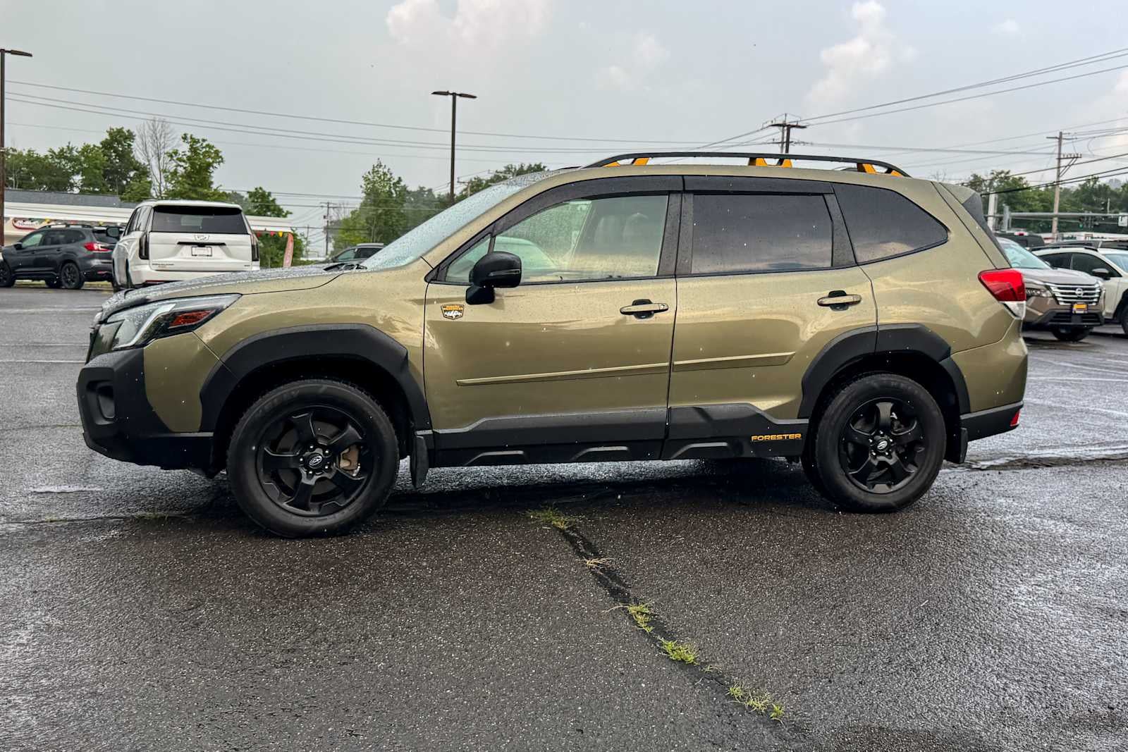 2024 Subaru Forester Wilderness