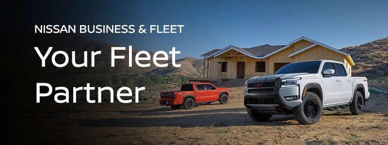 What can Nissan Business & Fleet do for your business?